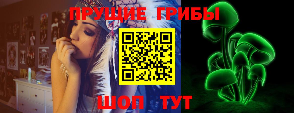 Псилоцибиновые грибы прущие грибы Тавда