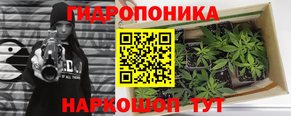 Бошки марихуана семена Тавда
